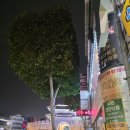 동서상회