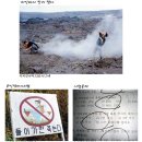 인터넷 월드 이미지