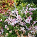 평암보건진료소 이미지