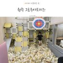 아트그로우 | 원주 그로우아트키즈 놀이방 이용 후기