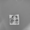 문정탑동물병원 이미지