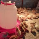 현주슈퍼 이미지