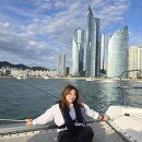 주식회사 블루캡슐 | 초록배낭 세븐브릿지투어 부산사람도 반한 부산여행 당일치기코스 😍