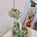 순천다육아트