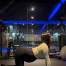 영 앤 카우 이미지