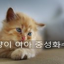 한주동물병원 이미지