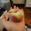 동근민박 이미지