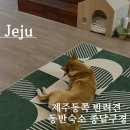 종달구경 이미지