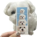 인생멍컷 이미지