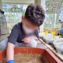 어울림유치원 이미지