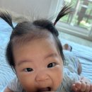 한림각 | 포천 아기랑 갈만한 곳/ 산정호수 주차 꿀팁/ 가성비+산뷰 숙소 [쉼표펜션]/ 100년 단팥빵 내돈내산...