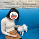 왈왈이애견카페웨스턴돔점 이미지