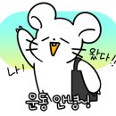 헬스보이짐 테크노밸리점 이미지