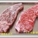 유일비닐포장