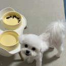 아토살롱 이미지