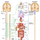 약뜸한의원 이미지
