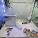 힘좋은 뽑기방 이미지