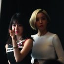 나이스포토 이미지