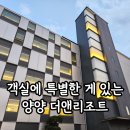양양이 | 양양 더앤리조트 디럭스더블 내돈내산 커플 방문 후기