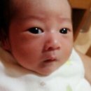 초이스퀸 이미지