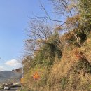 원동초등학교 이미지