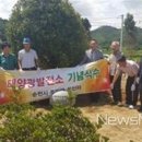 구산 태양광발전소 이미지