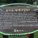 충주호 종댕이 네이버블로그