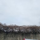 알기쉬운 부동산(스스로 지키는 내자산) 과정 | '경기 안전전세 프로젝트' 보증금을 지키는 5가지 핵심 가이드