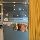 마곡중앙2로 | 🐱 [마곡 고양이미용] 심쿵하냥 마곡점 | 금손사장님이 정성스럽게 미용해주셔서 만족!