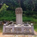 오월과 유월 사이 봄꽃들과🌷🪻 이미지