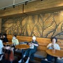 스타벅스 파주P아울렛 3F 이미지