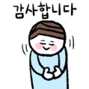 나드리김밥영대점 이미지