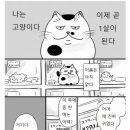 아무도 선택하지않는 고양이만화 이미지