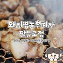 팔등로뒷고기 | 울산 신정동 꼬들목살 찐찐맛집 돼지영농후계자 팔등로점