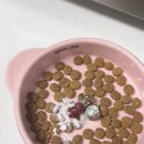 (주)파미슨펫 이미지