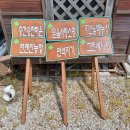 가족농장 네이버블로그