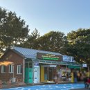 정방폭포 주차장 | 서귀포 관광지 정방폭포 입장료, 운영시간, 주차장 등 후기