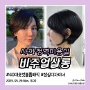 40대 여자숏컷 숏단발 볼륨매직 사가정역미용실 비주얼살롱 성실디자이너