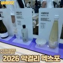 엑스포마트 - 속초시 엑스포로 47 | 2026 막걸리엑스포 방문후기