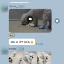 개러리아 송파점 이미지