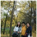 서윤 - 예산군 청사로 190 | 서윤