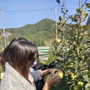 칠성중학교 이미지