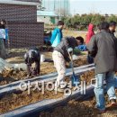 김상도농장 이미지