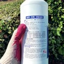 거미대문 이미지