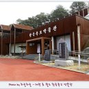 문중뿌리보첩보존회 | 대전 효 월드 --- 한국 족보박물관