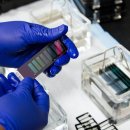 박수연행정사사무소 이미지