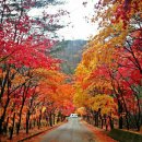 우두산민박 이미지