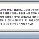 메이플농장 이미지