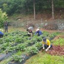 오두리농장 이미지