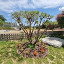 카페누비 이미지